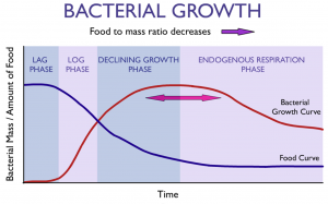 Biological Growth Curve in Aerated Stabilization Basins