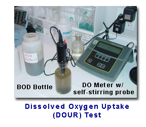Dissolved Oxygen Uptake Rate (DOUR) Test