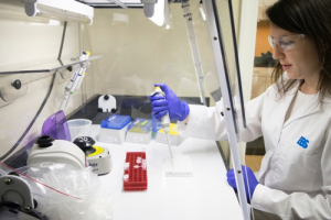 rp_EBS_molecular_lab-300x200.png
