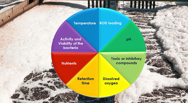 8 Growth Pressures and Their Impact on the Microorganisms in Wastewater Treatment