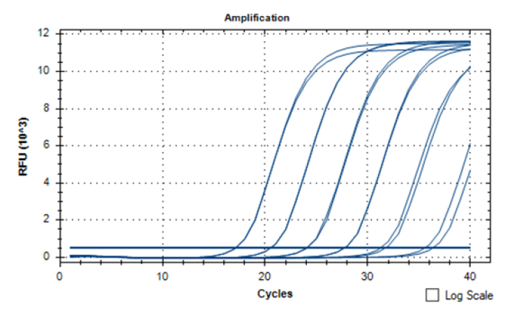 Amplification of DNA Sequences using qPCR