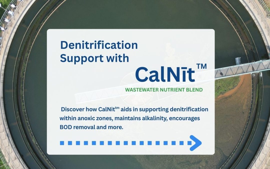 Denitrification Support with EBS CalNit™